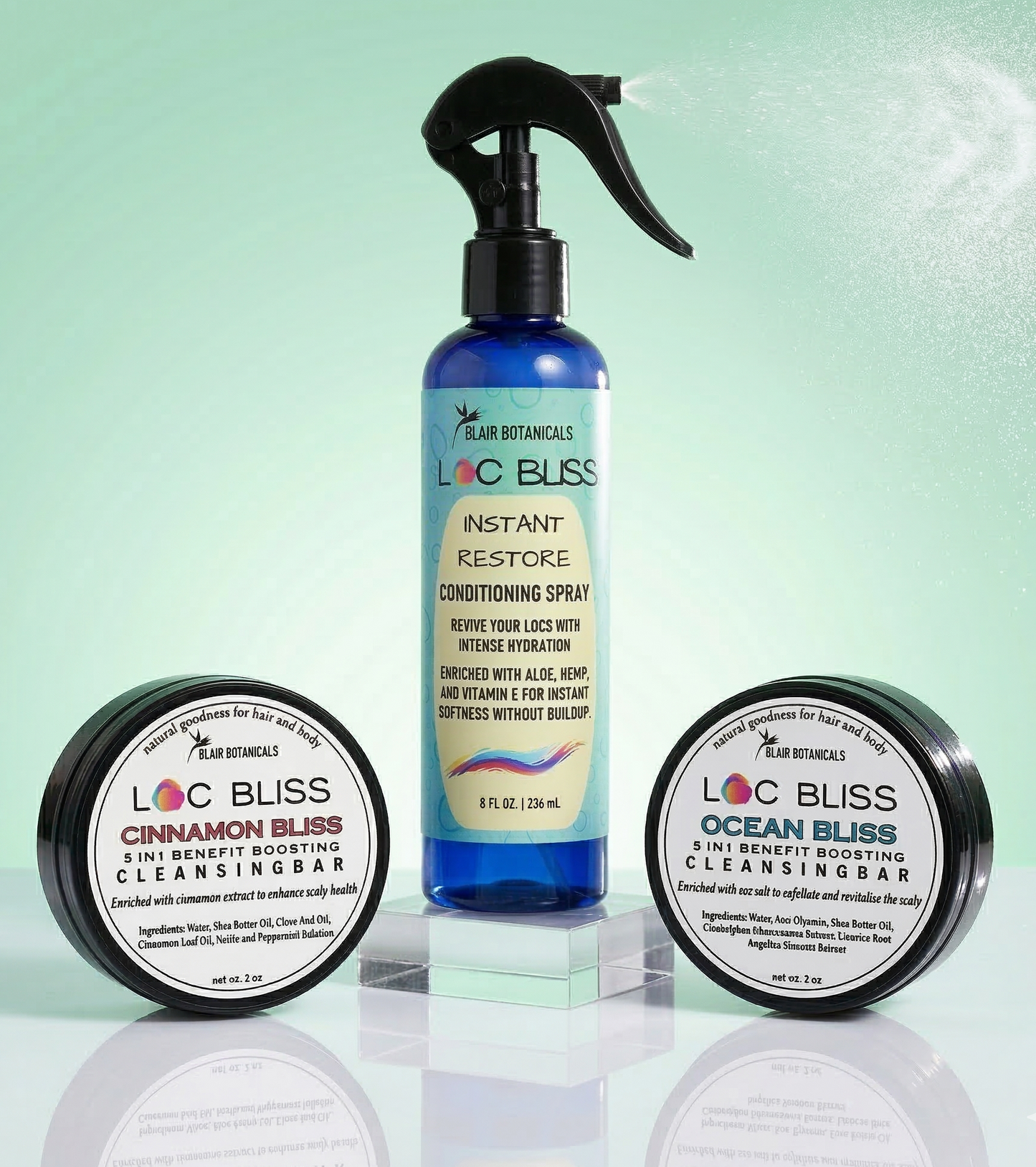 Loc Bliss Essentials Duo Cleanse & Condition Set
